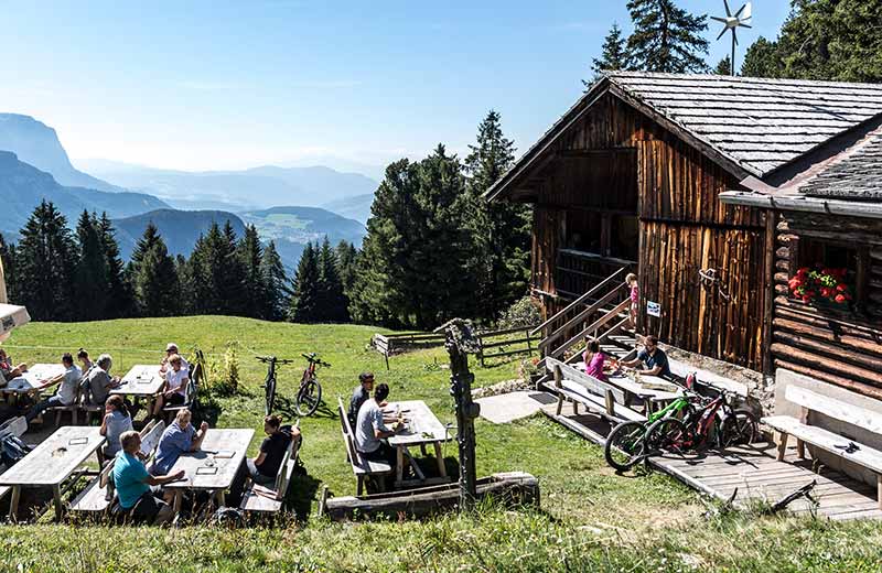 Alpine Trail Ramitzl