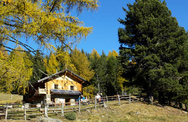 Unterpulghütte mit Streichelzoo