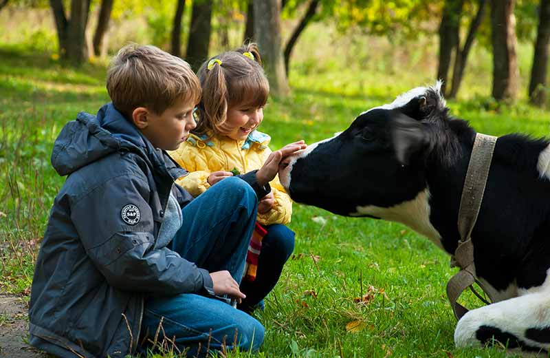 Urlaub auf dem Bauernhof